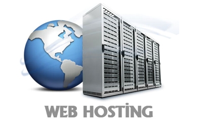 apaydin web design